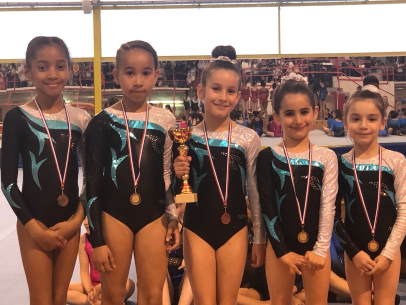 Finale Départementale Fédérale B 7/9 ans. Une belle fin de saison ! Finale Départementale Fédérale B 7/9 ans. Une belle fin de saison !