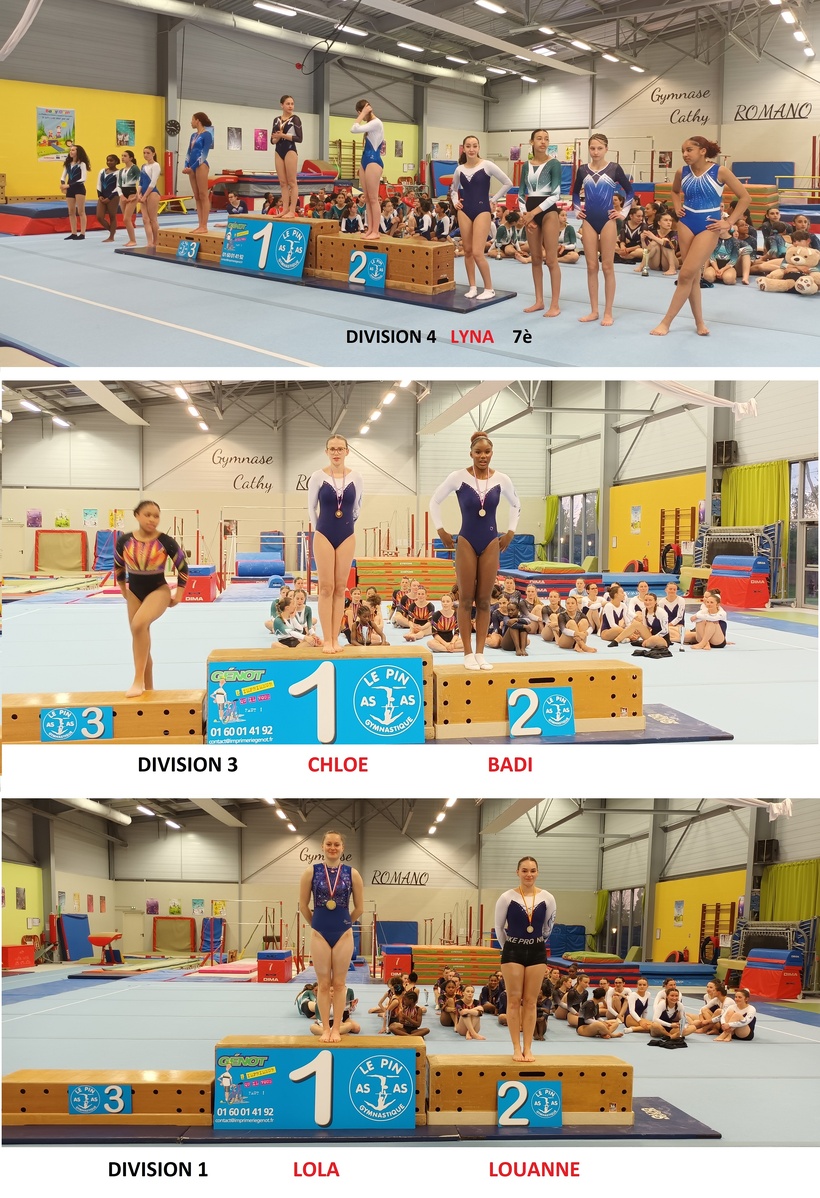 Zone Individuelle FSGT Zone Individuelle FSGT