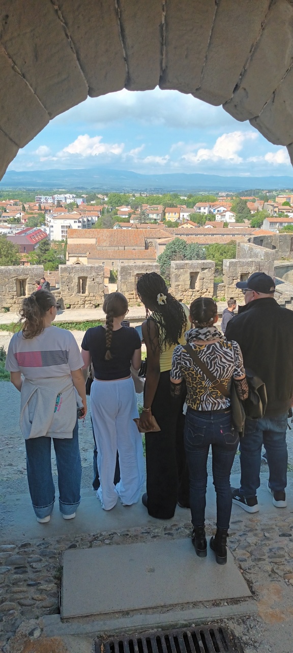 Visite 6